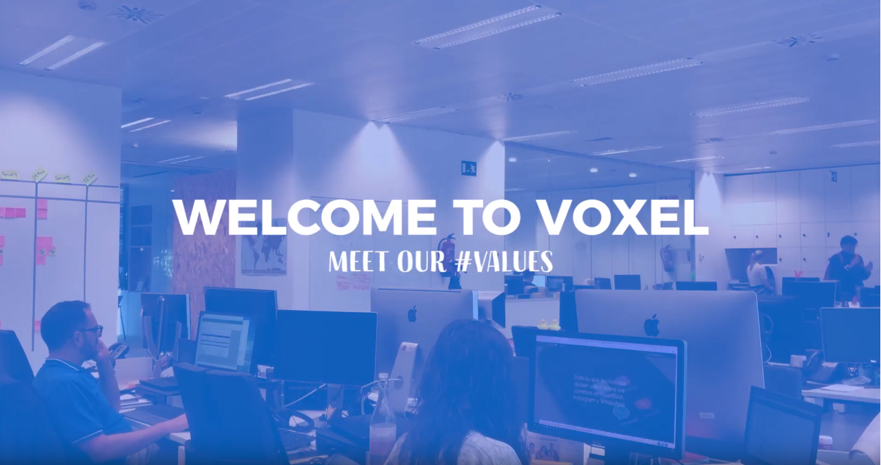 Voxel Group: This is how we do it