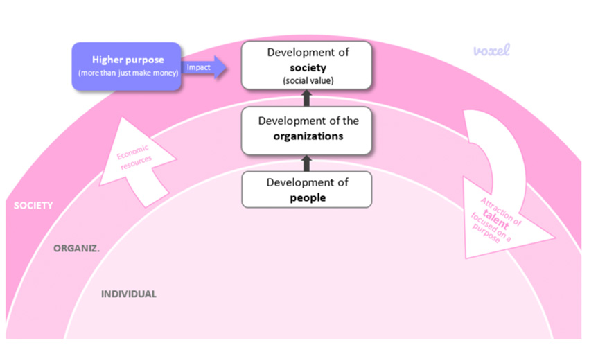 impact_diagram_2