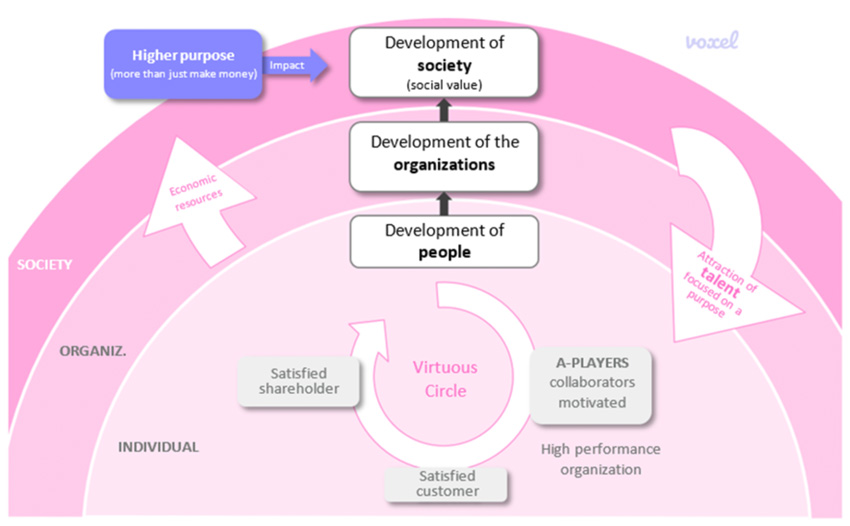 impacto_EN_diagram3