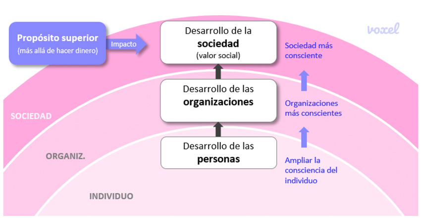 Impacto diagram