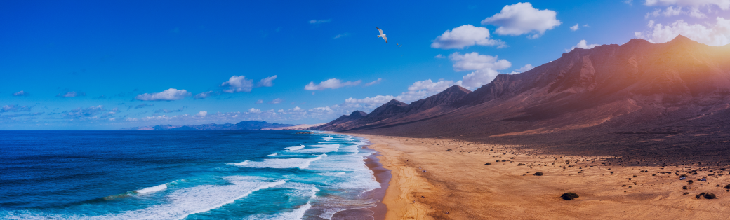 Automating invoice receipt and reconciliation at Canarian Hospitality with Suitech and Voxel