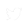 icon twitter