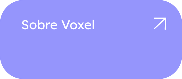 Sobre Voxel