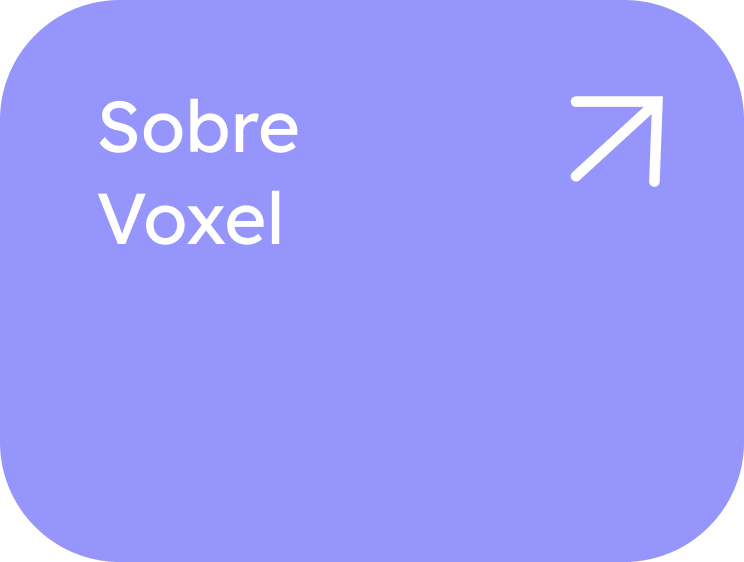 Sobre Voxel