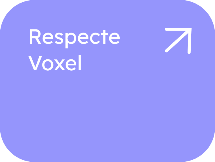 Respecte Voxel