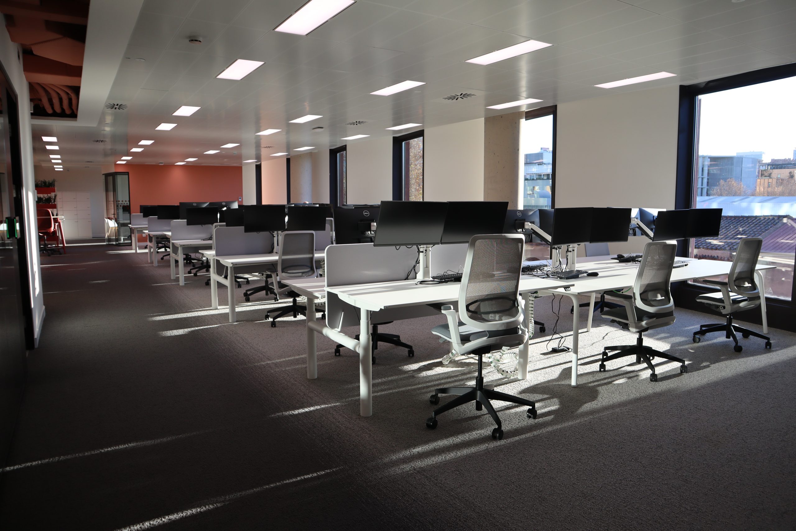 Voxel office