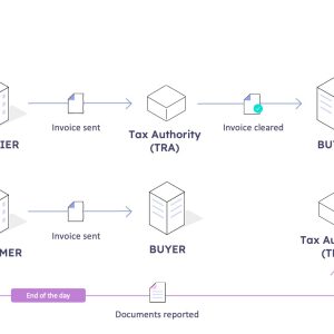 Guías normativa Turquía Infográfico del proceso