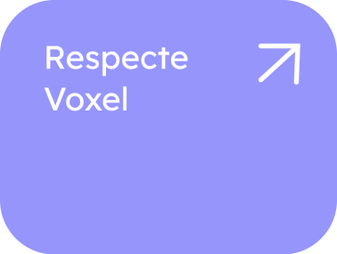 Respecte Voxel